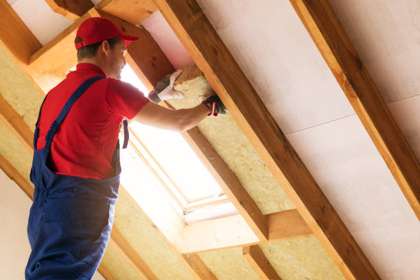 Best Insulation for Existing Homes  in Tuscoosa, AL